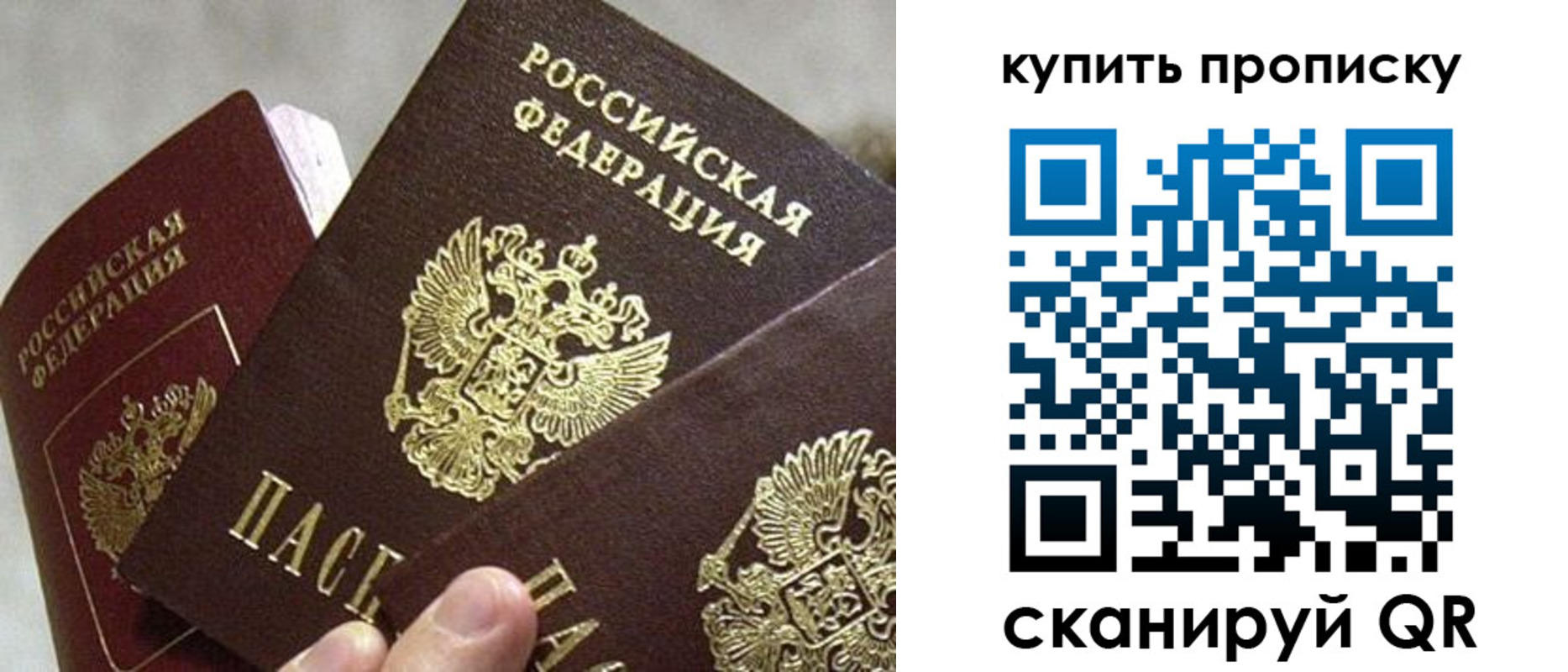 прописка для школы в Дорогобуже